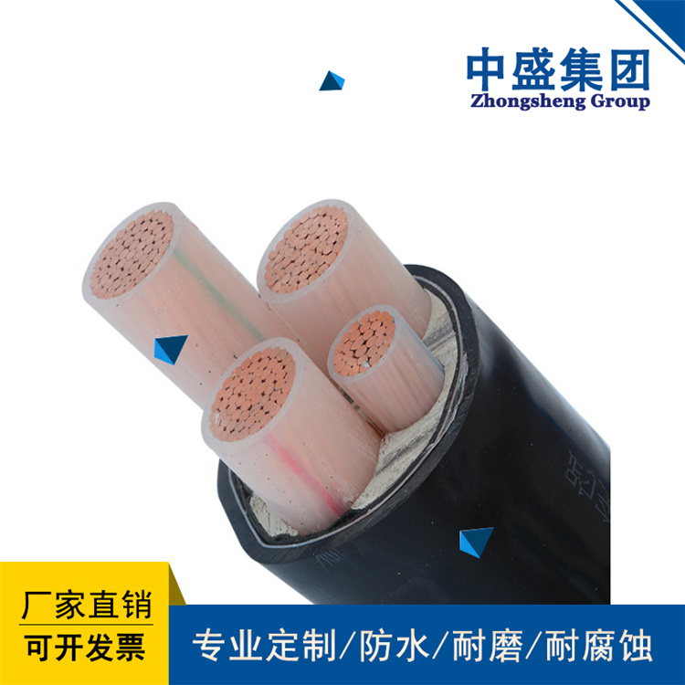 安徽天長(zhǎng)中盛變頻電纜BPYJVP12R-TK 3*50+3*25