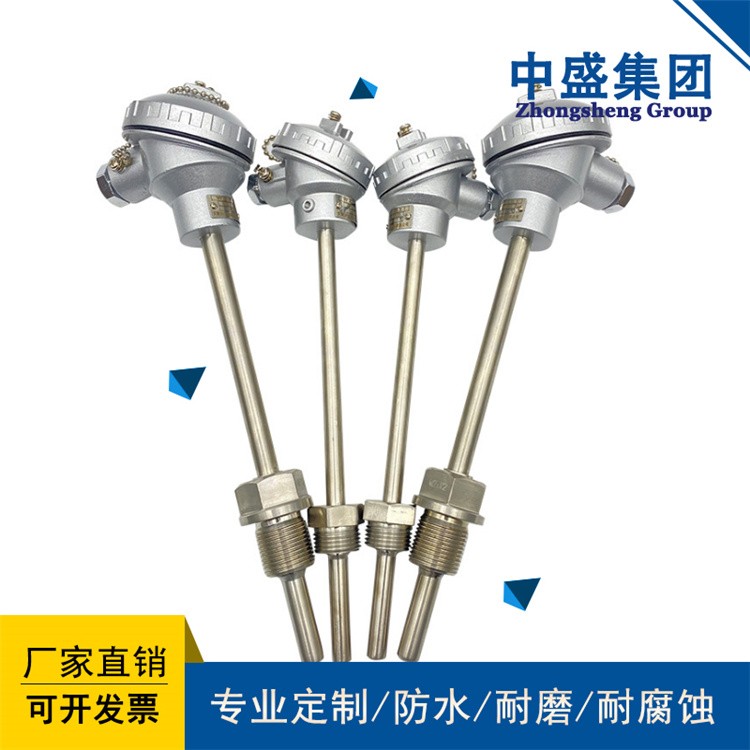 鎧裝熱電偶WREK-161/WREK2-161