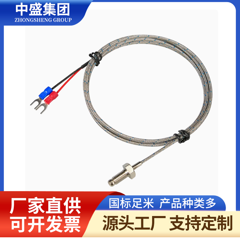 補償?shù)浆F(xiàn)實鎧裝熱電偶WREK-191