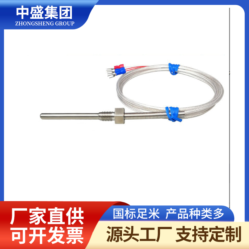 補(bǔ)償導(dǎo)線式鎧裝熱電偶WRCK-291