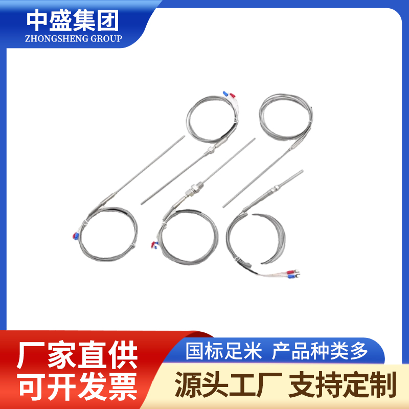 補償導(dǎo)線式鎧裝熱電偶WRCK-391