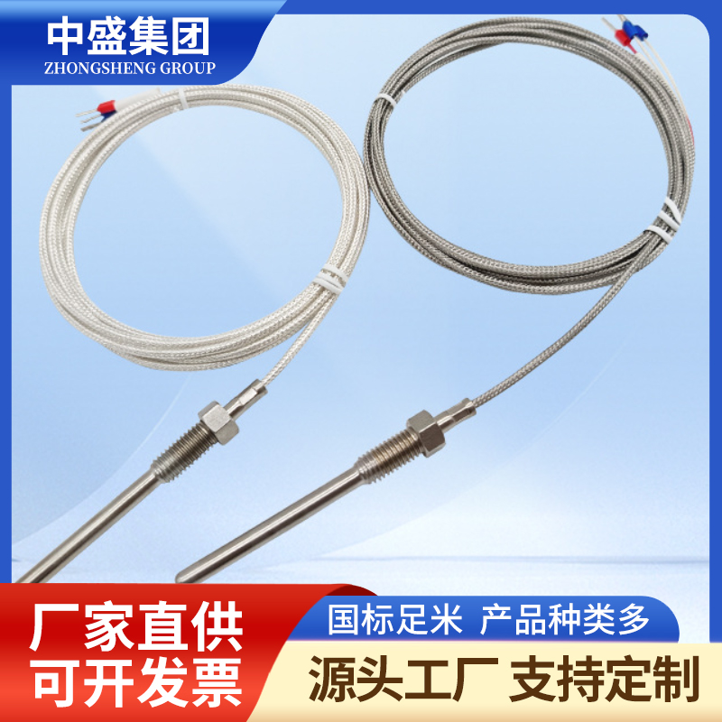 補(bǔ)償導(dǎo)線(xiàn)式鎧裝熱電偶WRFK-491