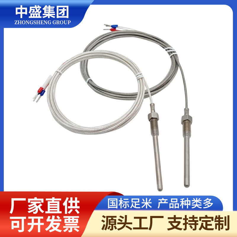 補(bǔ)償導(dǎo)線式鎧裝熱電偶WRMK-591