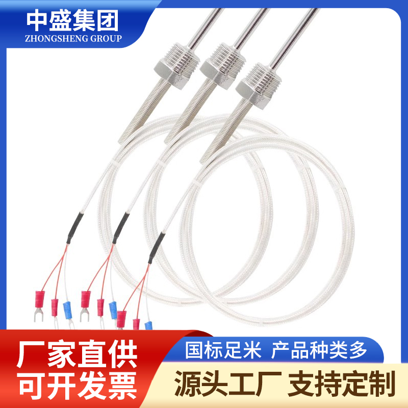 補(bǔ)償導(dǎo)線式鎧裝熱電偶WRCK-591