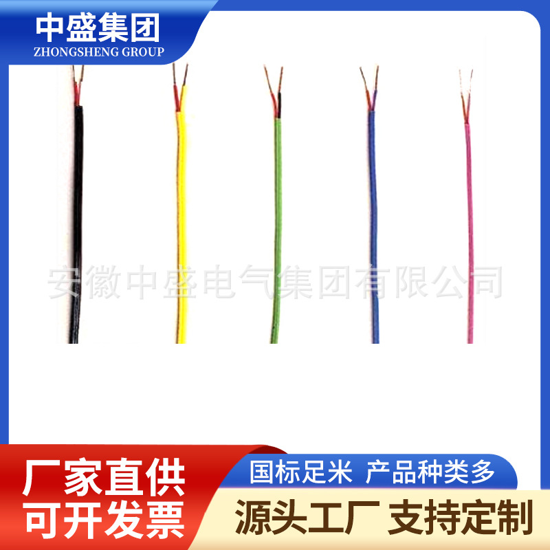 B型溫度補償導(dǎo)線BC-HS-VVP