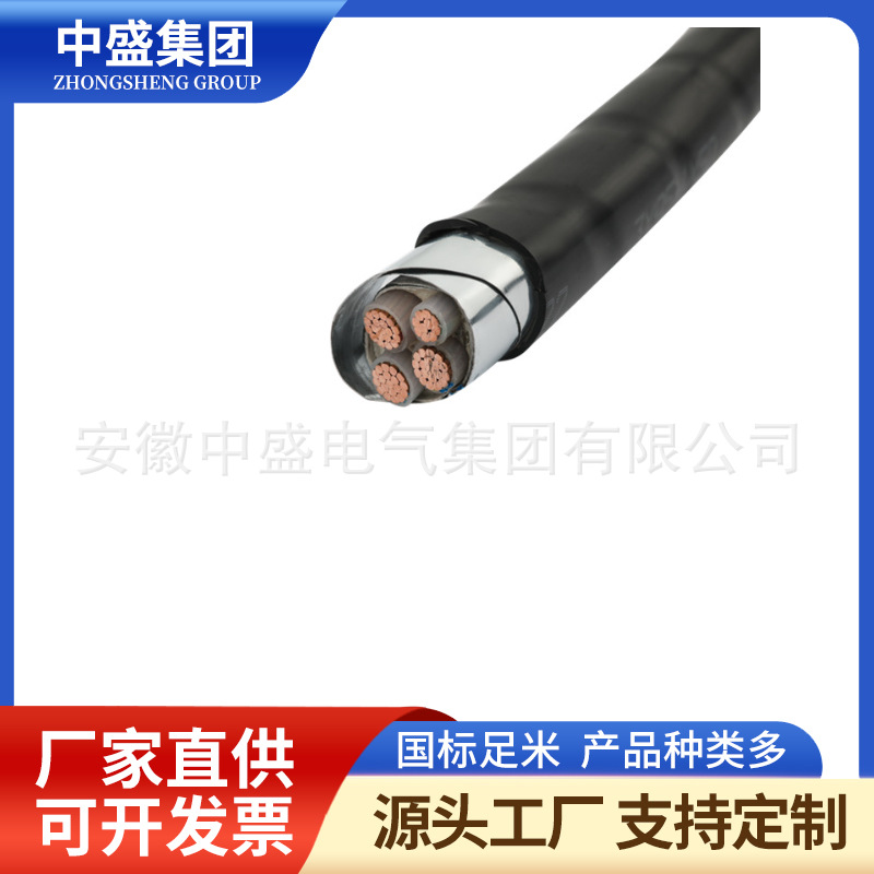 阻燃鎧裝計(jì)算機(jī)電纜ZA-DJYP2VP2-22