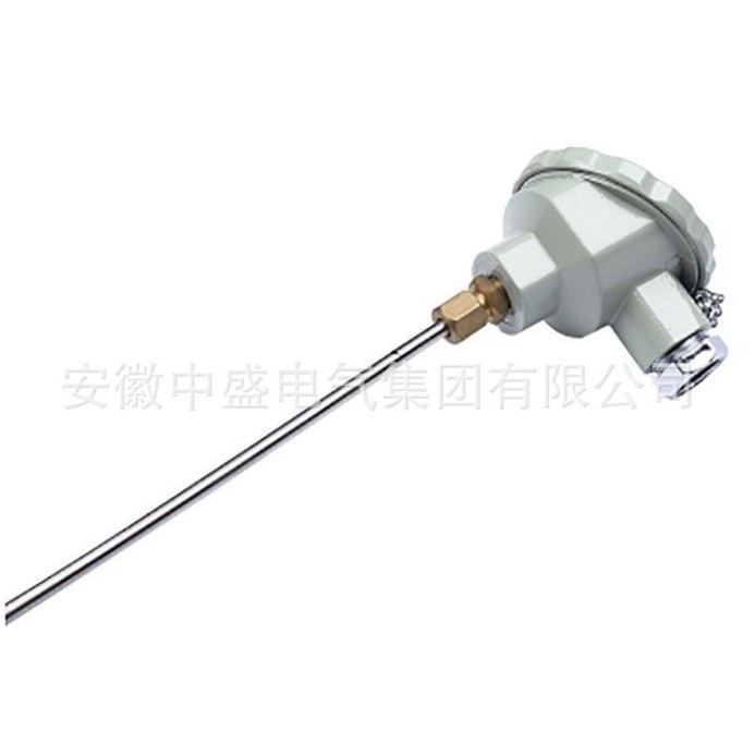無(wú)固定裝置熱電偶WRM-131G WRM2-131G